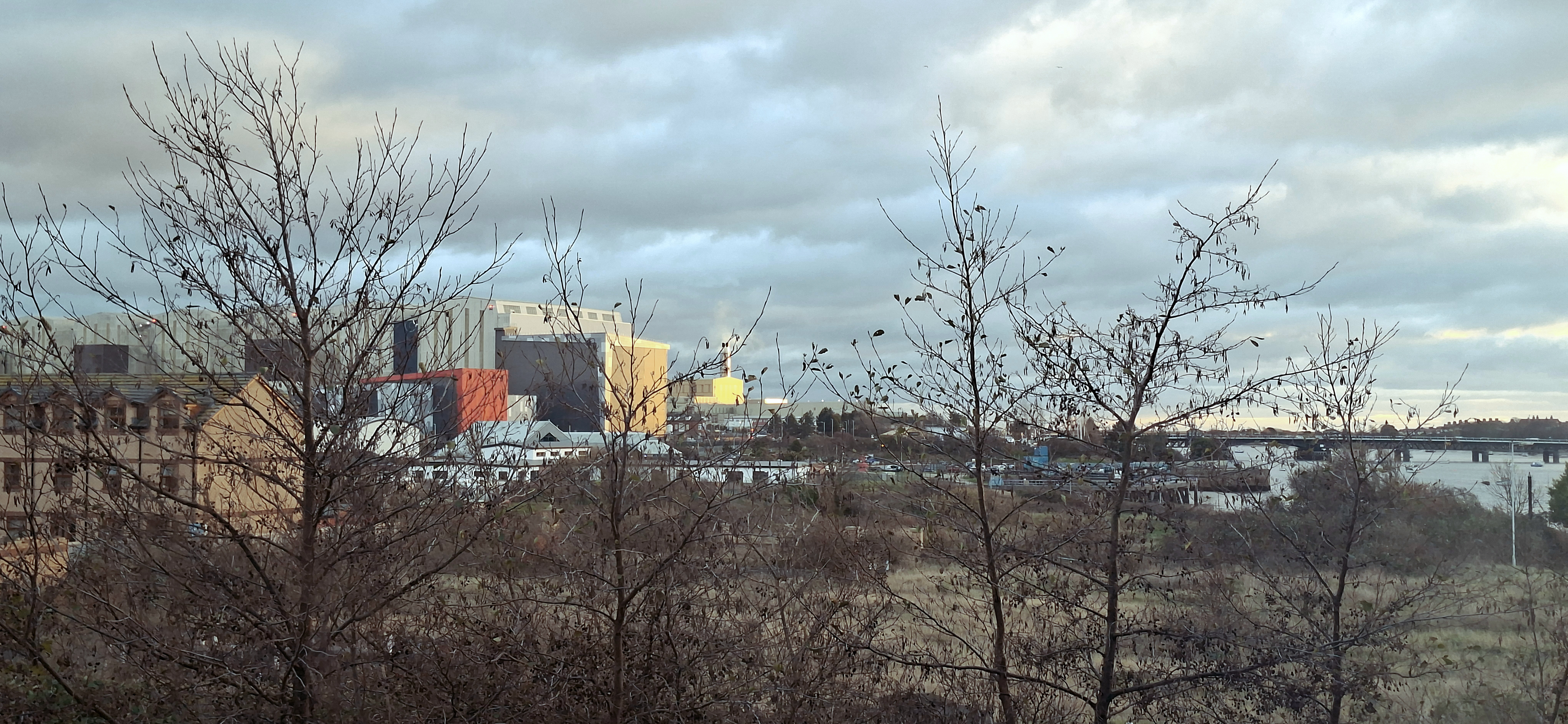 Photography walk photo 3