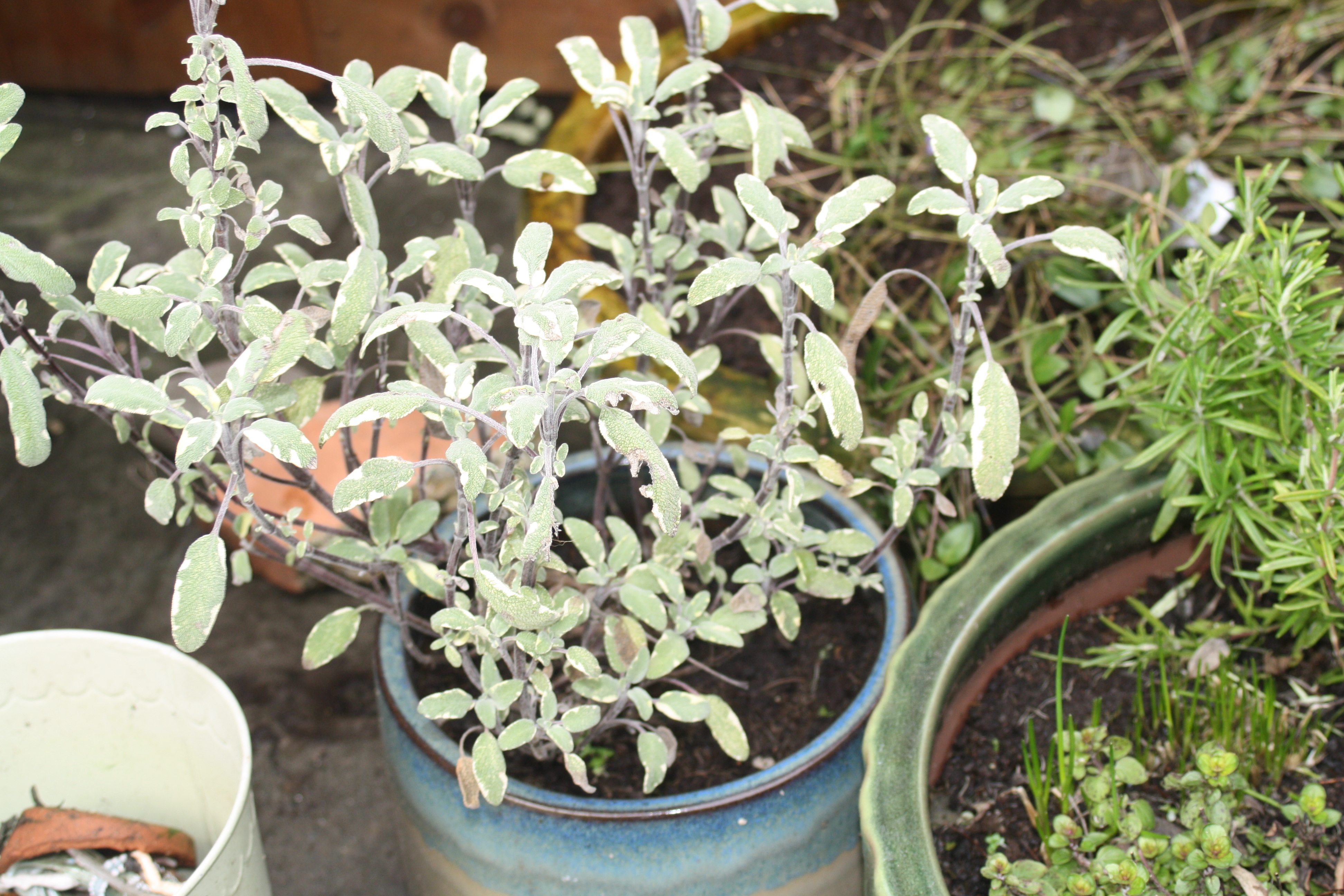 I think both the winter and summer is beutifull